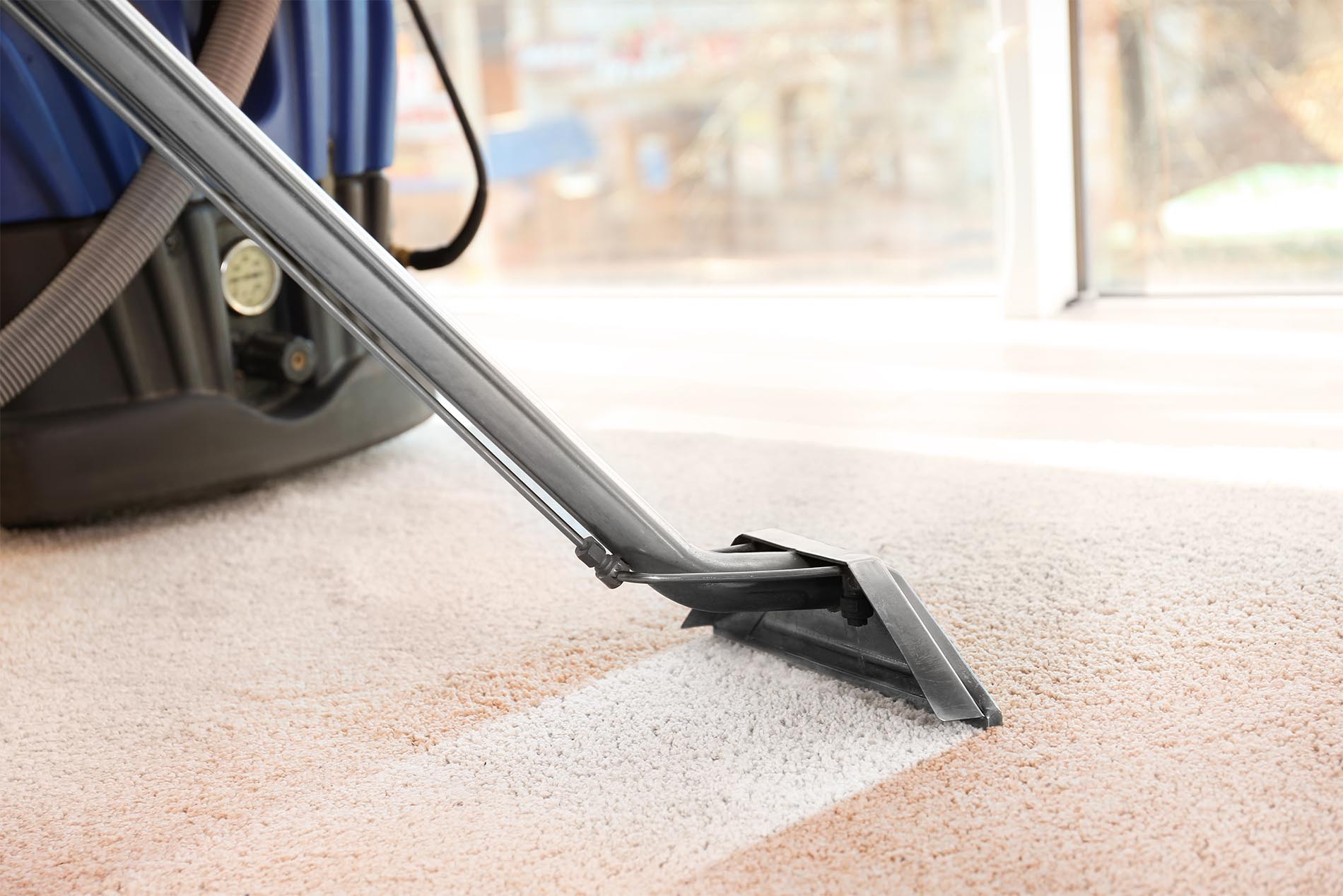 carpet-cleaning-auckland